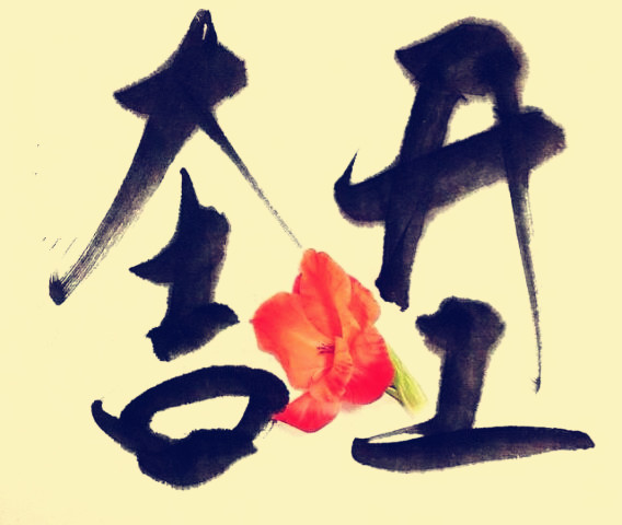 駿業(yè)包裝開工大吉！
